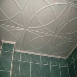 Ceiling tiles in the bathroom photo