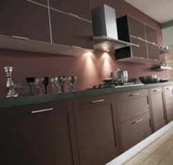 Mocha-colored kitchen photos in the interior