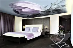 Drawings On The Ceiling In The Bedroom Photo