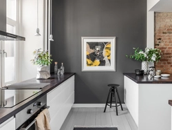 How to brighten up a gray interior in the kitchen