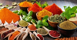 Kitchen spices photo