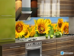 Kitchen Sunflower Photo