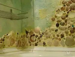 Shells in the bathroom interior
