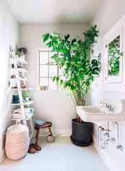 Bath With Plants Design