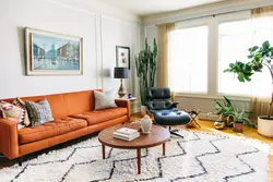 Living room design with terracotta sofa