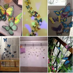 Kitchen Design With Butterflies