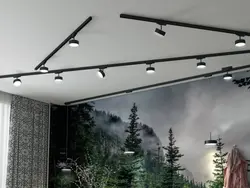 Track lighting system in the bedroom interior