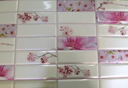 Plastic Panels For The Kitchen Photo