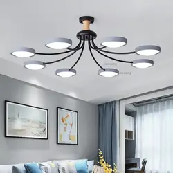 Ceiling Chandelier For The Living Room Inexpensive Photo