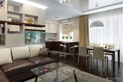 Design Of 2 Apartments Combined With Kitchen