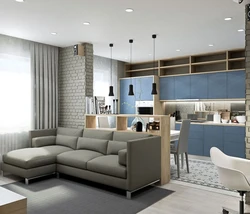 Interior of a one-room apartment with a kitchen and living room