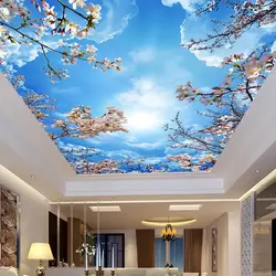Photo Printing On The Ceiling In The Bedroom Photo