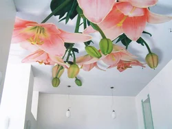 Photo printing on the ceiling in the bedroom photo