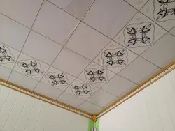 Ceiling Tiles In The Bathtub On The Walls Photo