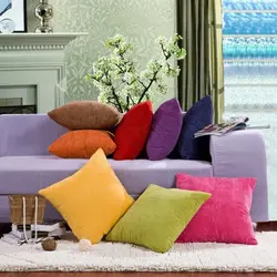 Decorative pillows in the living room interior photo