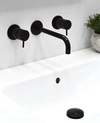 Black Sink In The Bathroom In The Interior