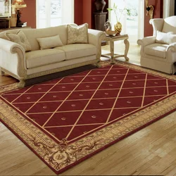 Classic carpets in the living room interior