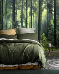 Спальні Дызайн Як У Лесе