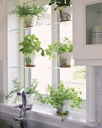 Shelves for flowers in the kitchen interior