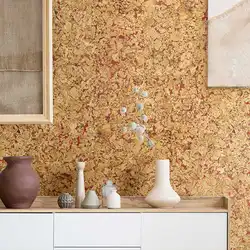 Kitchen interior cork