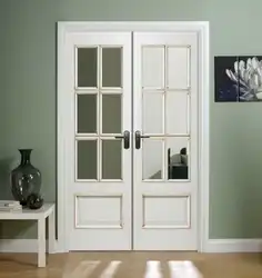 Фото распашных дверей в гостиной