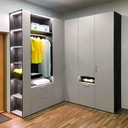 Built-in wardrobe in the hallway with hinged doors design