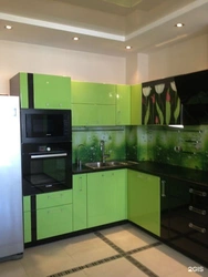 Kitchen interior in black and green