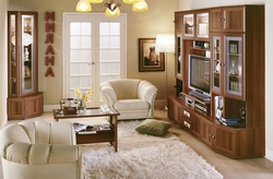 Example of furniture in the living room photo