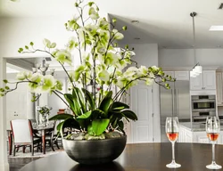 Interior of home flowers in the kitchen