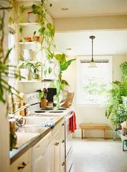 Интерьер домашних цветов на кухне