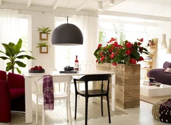 Интерьер домашних цветов на кухне
