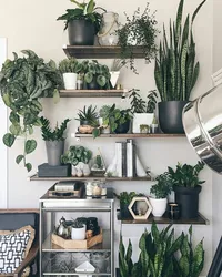 Interior of home flowers in the kitchen