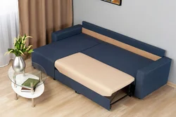 Sofa with sleeping place in the room photo