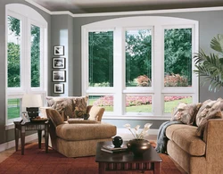 Plastic Windows In The Interior Of The Apartment Photo