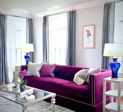 Living Room Interior Color Fuchsia