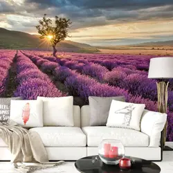 Living room lavender photo