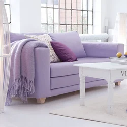 Living Room Lavender Photo