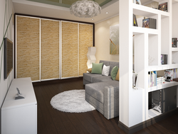 Wardrobe in the interior of a one-room apartment