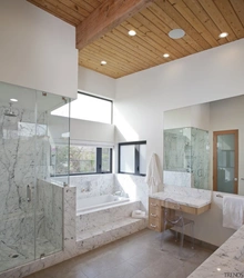 Modern Bathroom Ceiling Design