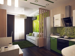 Design of a one-room apartment with a separate kitchen photo