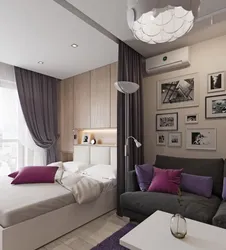 Interior of living room and bedroom in one 14 sq m