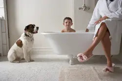 Household bathtub photo