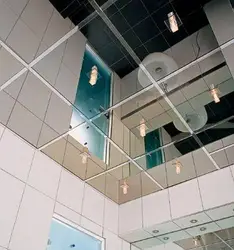 Mirror Ceiling In The Bathroom Photo