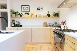 Photo Of The Kitchen With Only Lower Cabinets Photo
