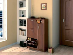 Shoe cabinets in the hallway photo in the interior