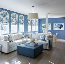 Design In Blue And White Colors Living Room