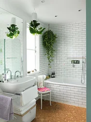 Bathroom design with greenery
