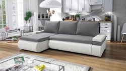 Photo of a sofa in the living room with a sleeping place