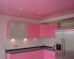 Suspended ceilings for the kitchen colors photo