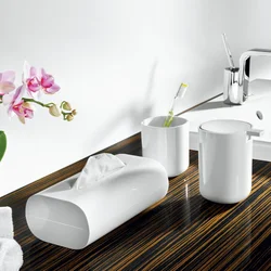 Bathroom Fittings Design